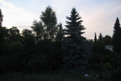 533e2f6919