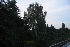 aef6b89144